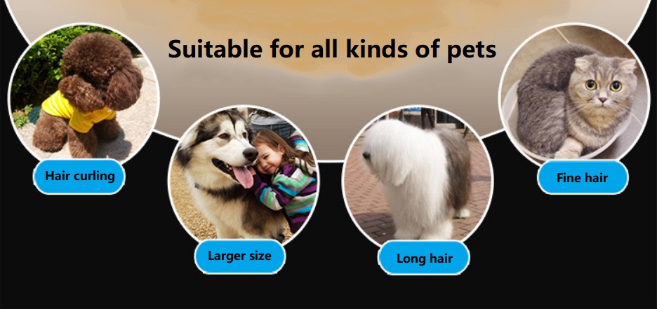 P60 line ปัตตาเลี่ยนไร้สายสำหรับสัตว์เลี้ยง