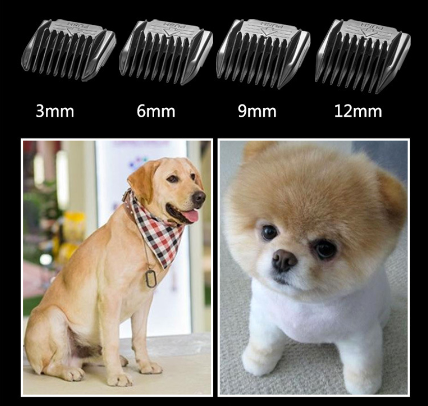 P60 line ปัตตาเลี่ยนไร้สายสำหรับสัตว์เลี้ยง