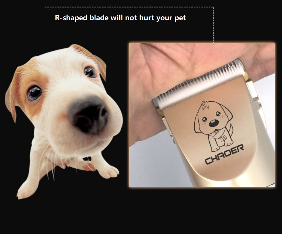 P60 line ปัตตาเลี่ยนไร้สายสำหรับสัตว์เลี้ยง