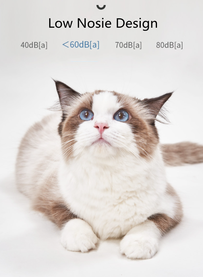 P45 ปัตตาเลี่ยนสัตว์เลี้ยงไร้สาย